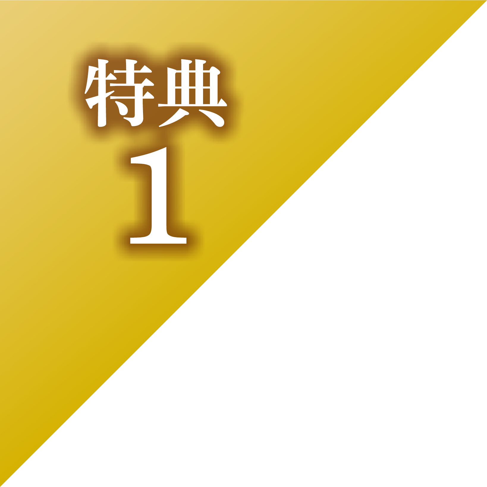 特典1