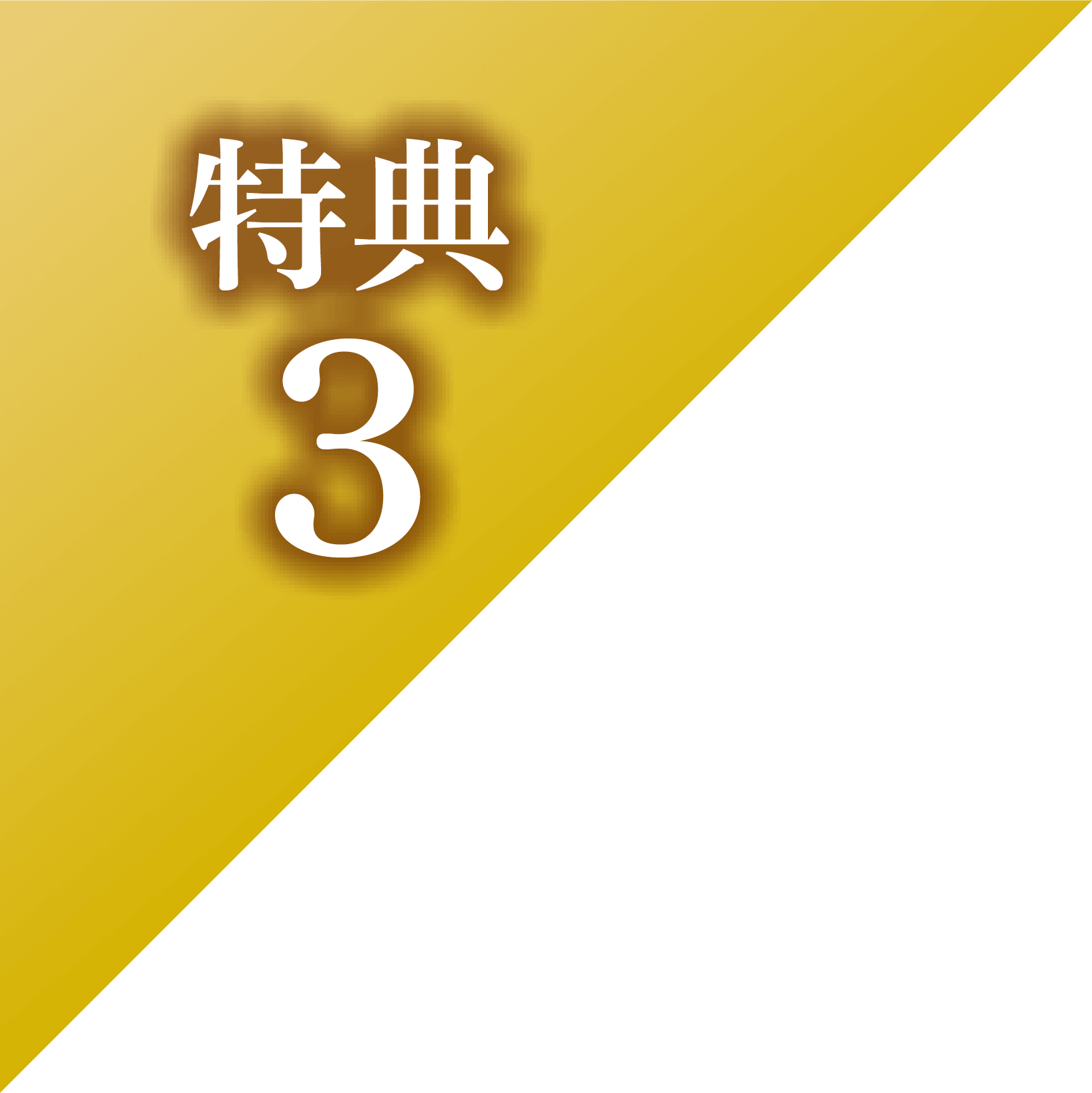 特典3